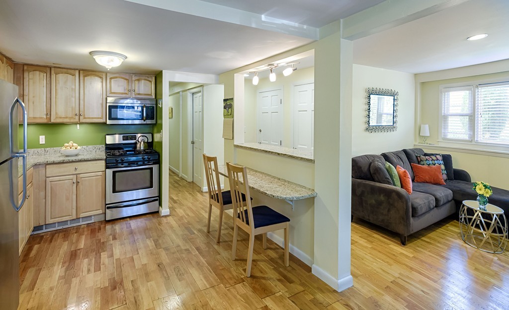 9 Monastery Road, Unit 1 Boston, MA 02135 - Photo 1 of 16 Gallery Image 1