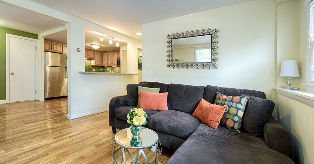 9 Monastery Road, Unit 1 Boston, MA 02135 - Photo 3 of 16 Gallery Image 3