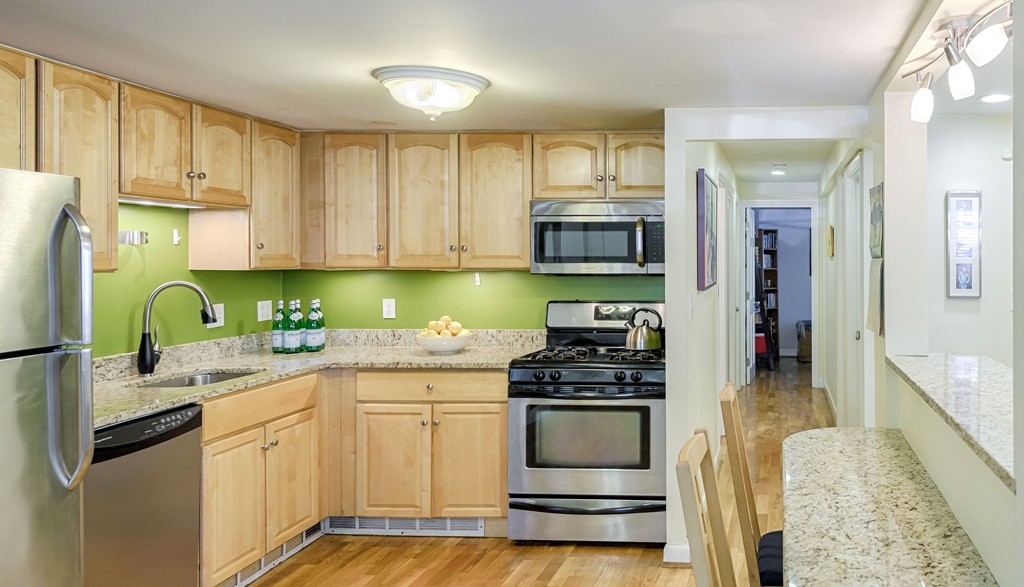 9 Monastery Road, Unit 1 Boston, MA 02135 - Photo 4 of 16 Gallery Image 4