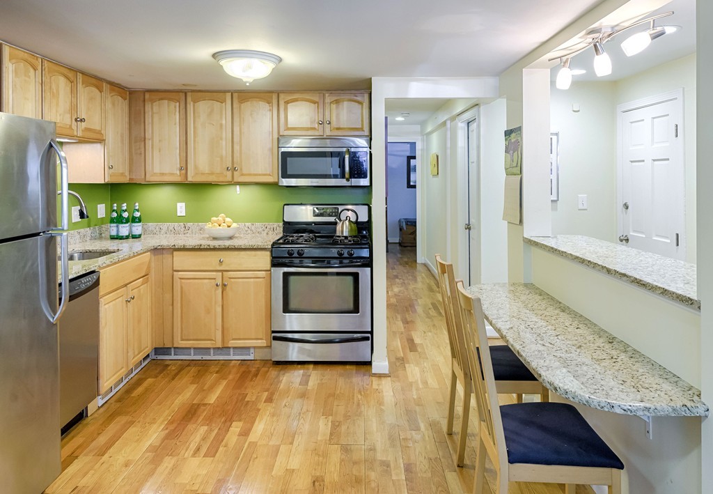 9 Monastery Road, Unit 1 Boston, MA 02135 - Photo 5 of 16 Gallery Image 5