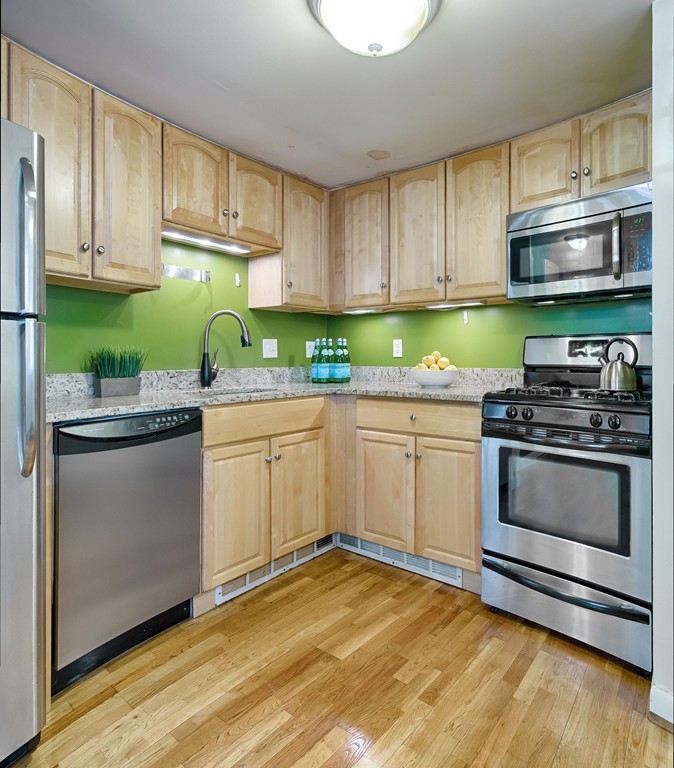 9 Monastery Road, Unit 1 Boston, MA 02135 - Photo 6 of 16 Gallery Image 6