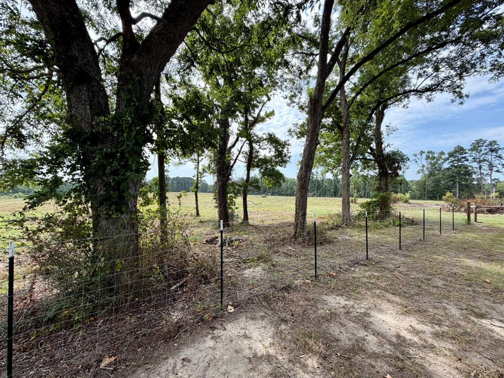 151 Campbell Road Converse, LA 71419 - Photo 9 of 19 Gallery Image 9