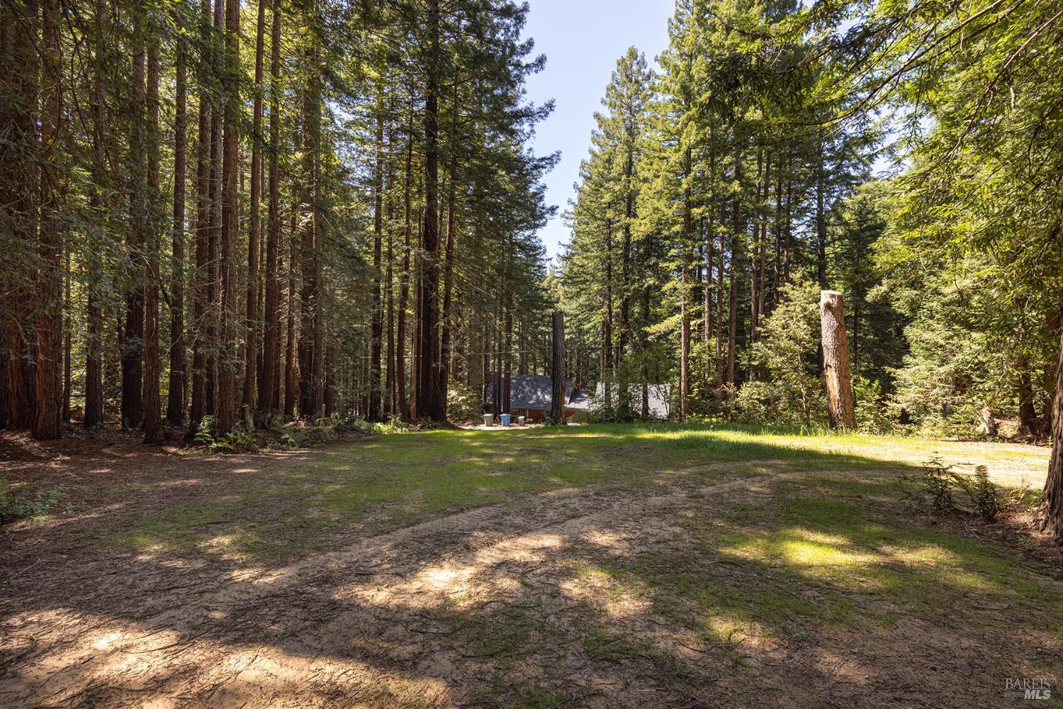 2264 Joy Ridge Road Occidental, CA 95465 - Photo 70 of 74