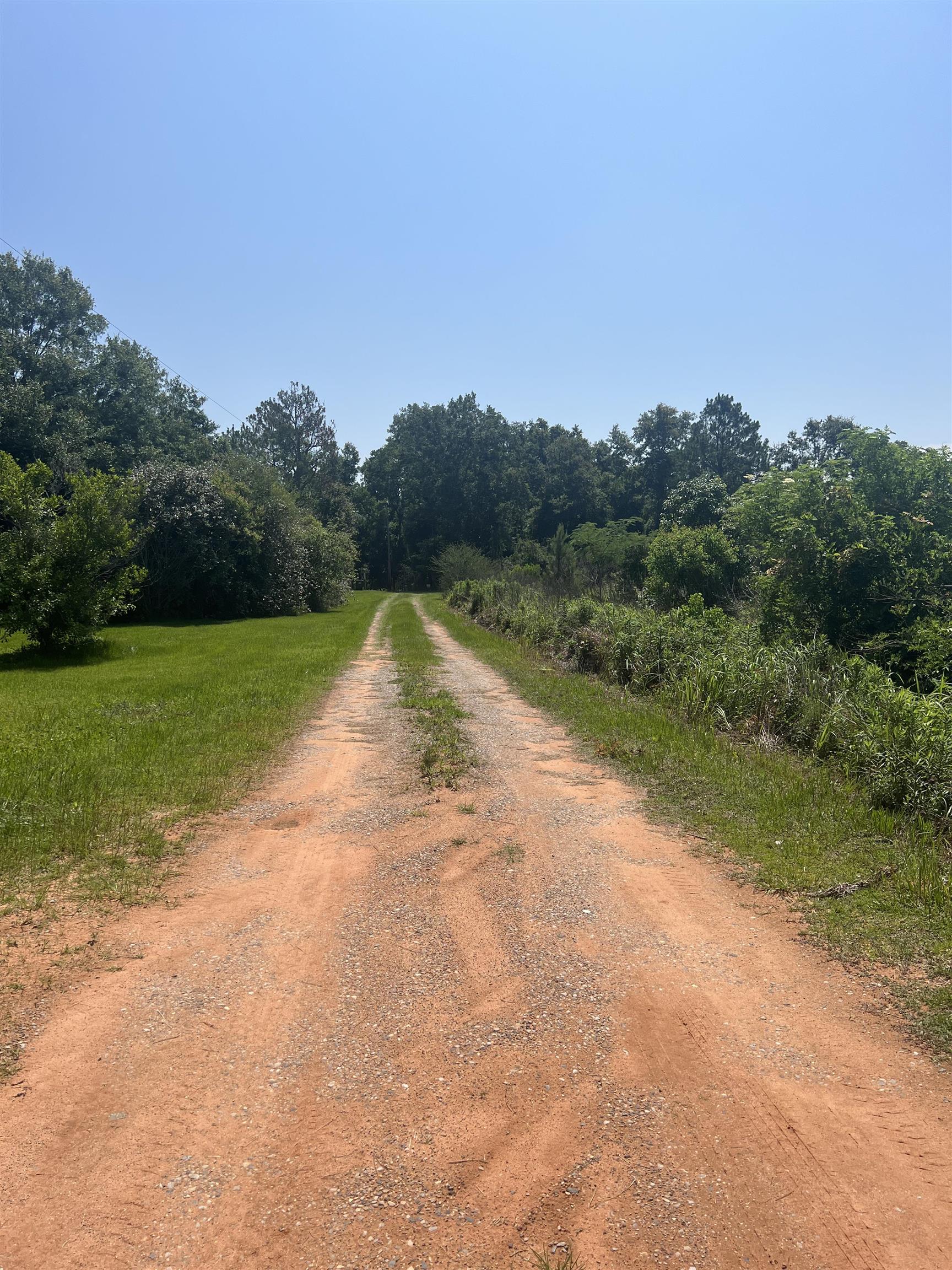 0 Cactus Court Elberta, AL 36530 - Photo 10 of 24