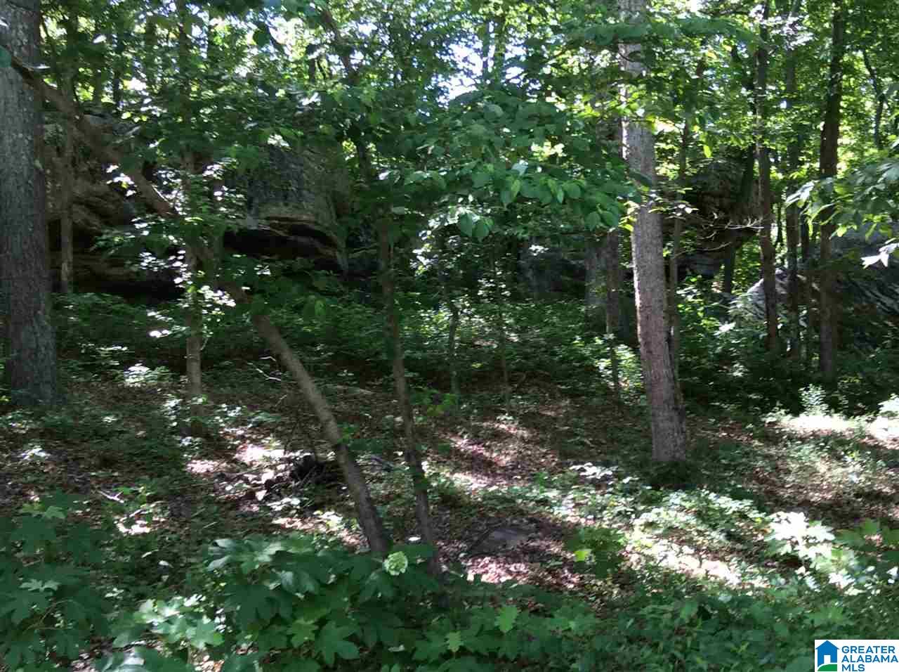 14495 Gallant Road Gallant, AL 35972 - Photo 24 of 48 Gallery Image 24