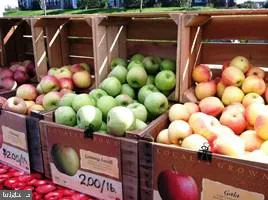 $3,425 | 22464 Faith Terrace, Brambleton, VA 20148