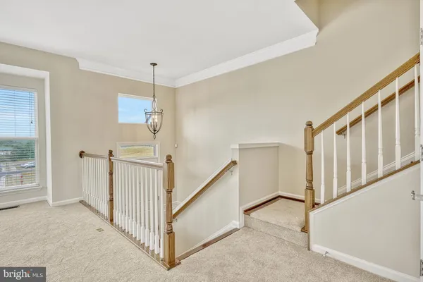 $3,425 | 22464 Faith Terrace, Brambleton, VA 20148