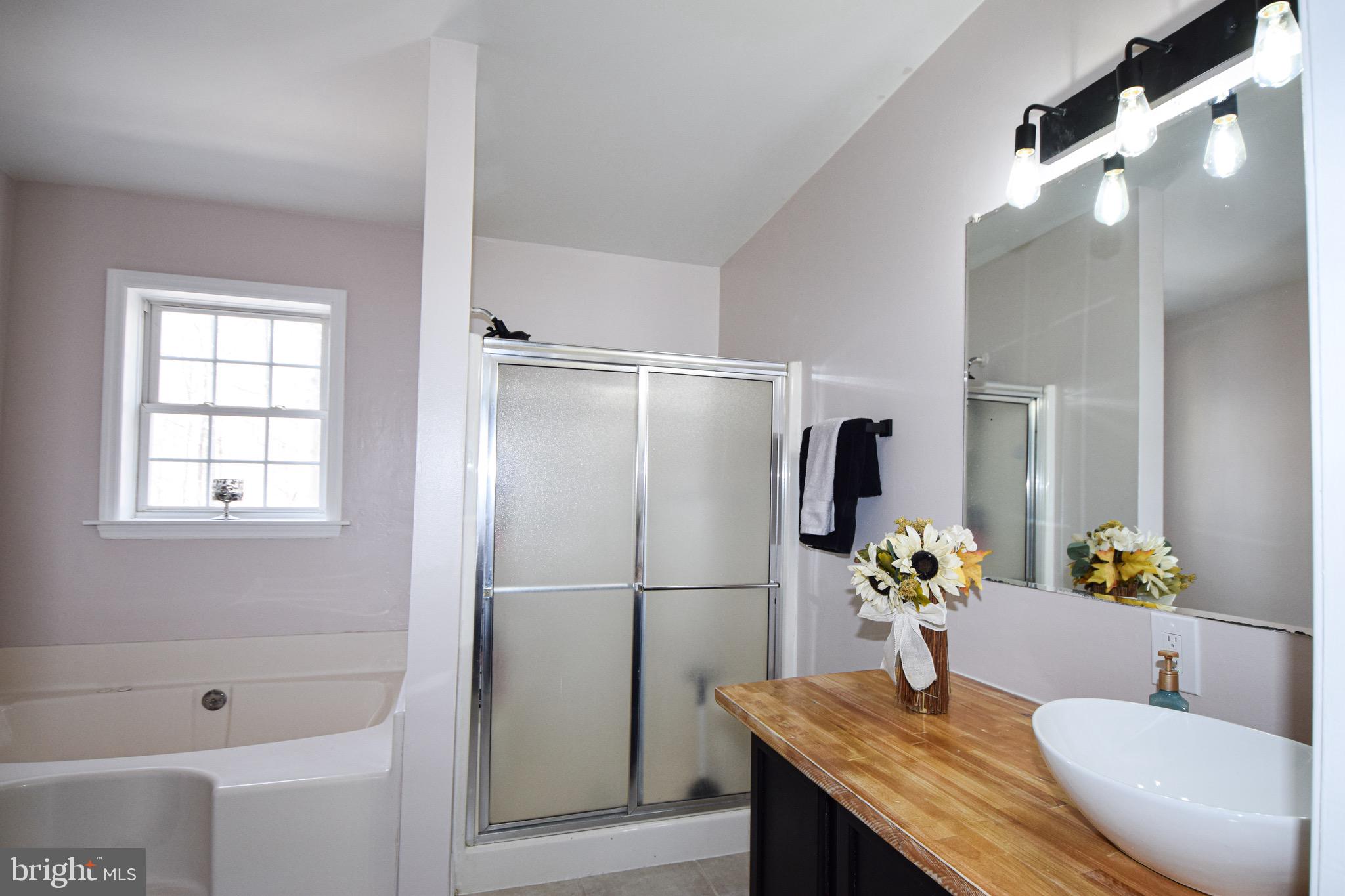 3309 Deer Hill Road Street, MD 21154 - Photo 15 of 54 Owner's Bathroom