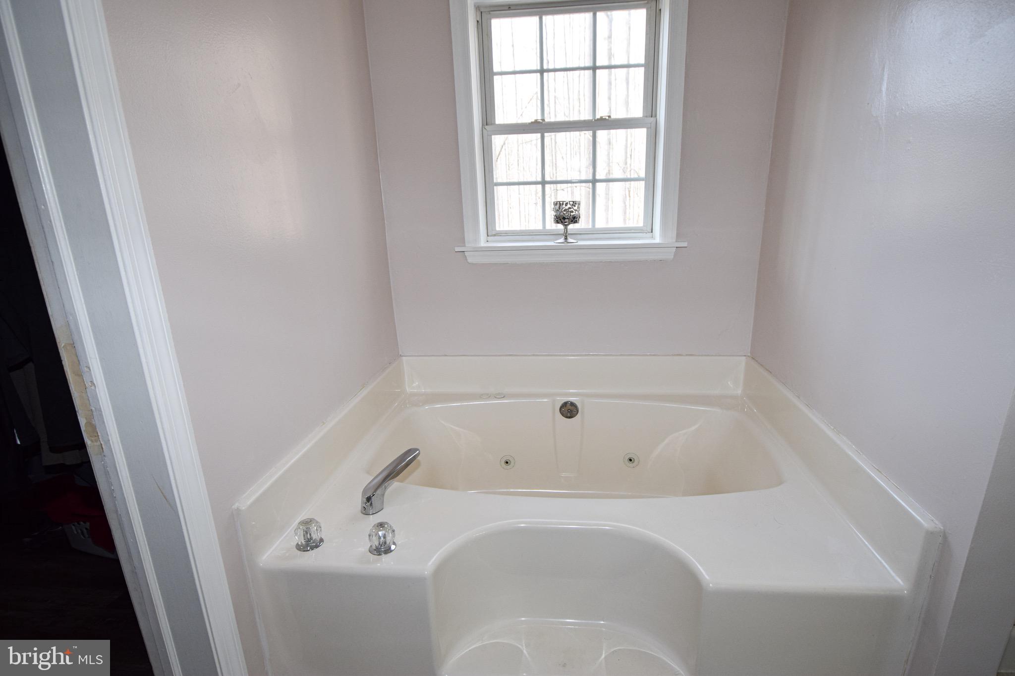 3309 Deer Hill Road Street, MD 21154 - Photo 18 of 54 Owner's Tub