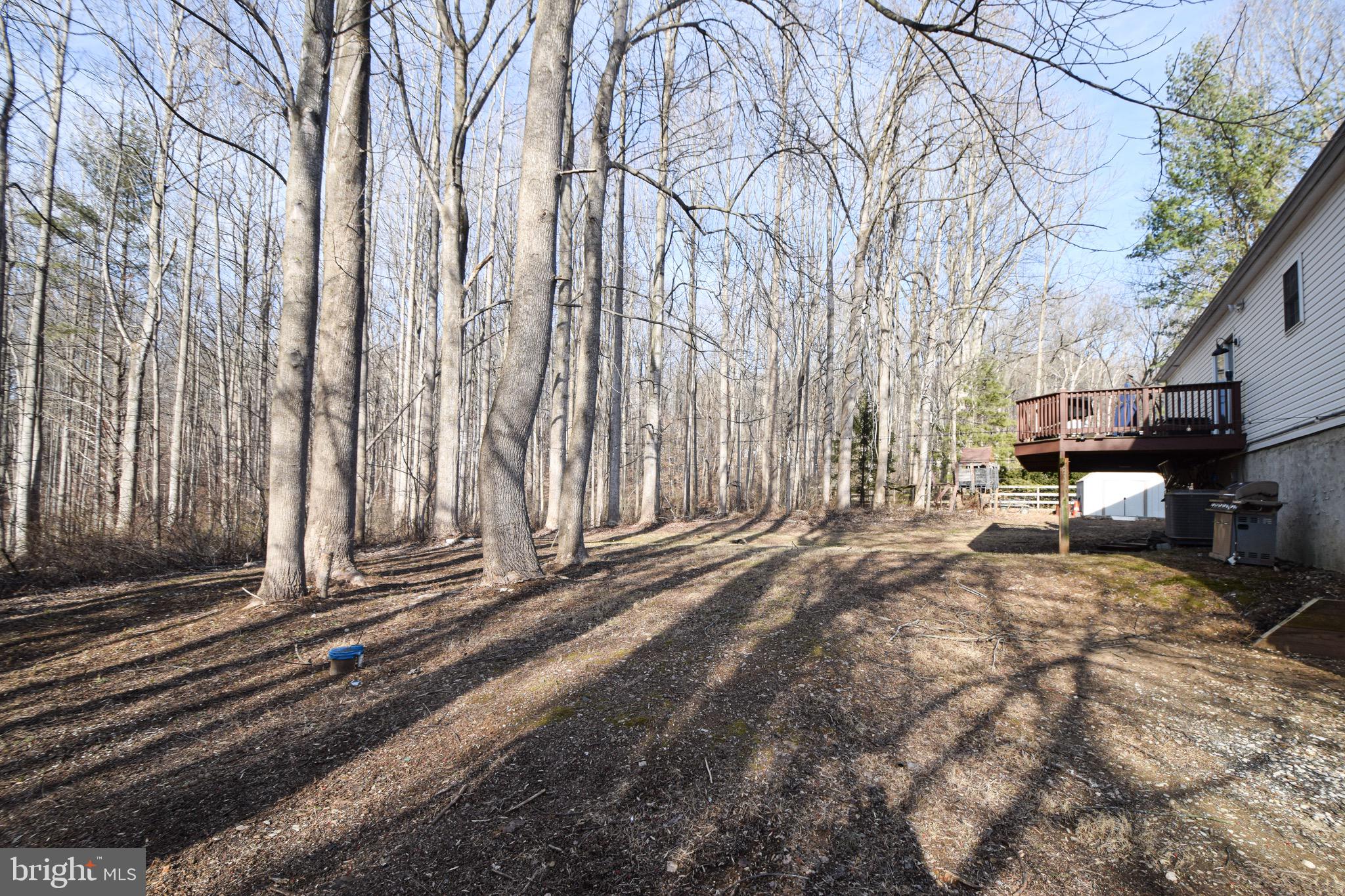 3309 Deer Hill Road Street, MD 21154 - Photo 44 of 54 Side View of the Backyard