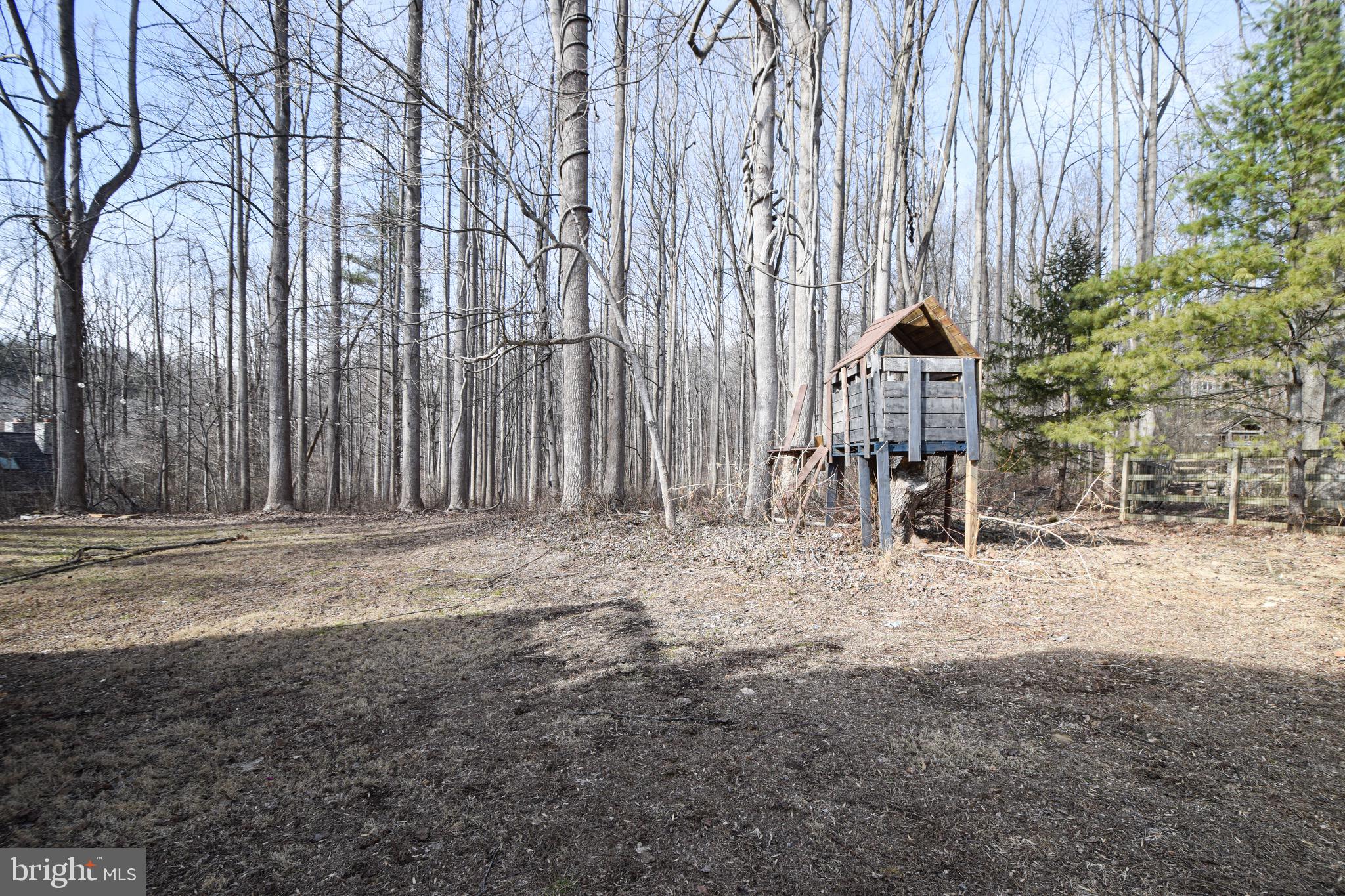 3309 Deer Hill Road Street, MD 21154 - Photo 47 of 54 Wooded Area Behind the House/Tree House