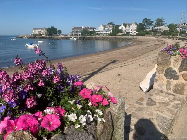 a view of a lake with a lot of flowers in it