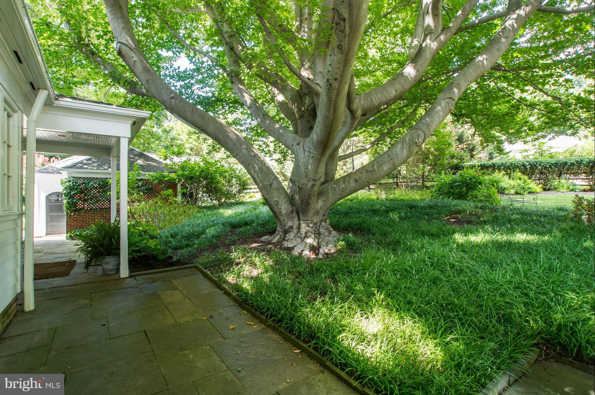 301 Golf Course Road Owings Mills, MD 21117 - Photo 25 of 30 Back Porch Area