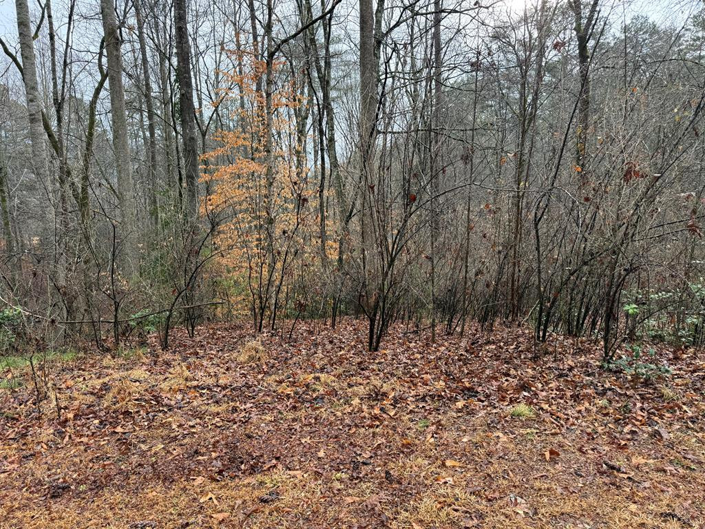 0 Friendship Murphy, NC 28906 - Photo 1 of 1 Main View