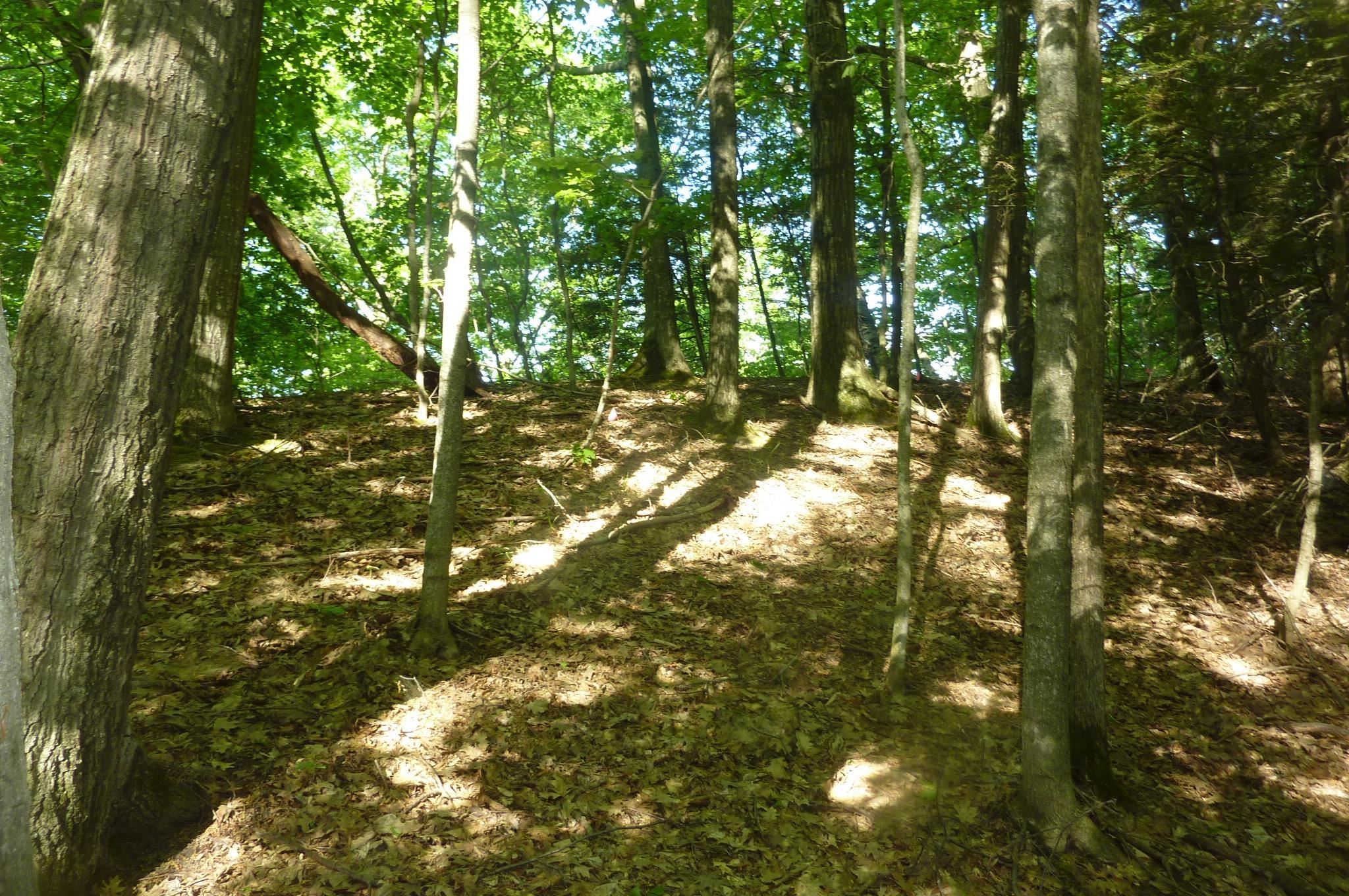Oo Point Betsie Road Frankfort, MI 49635 - Photo 11 of 13