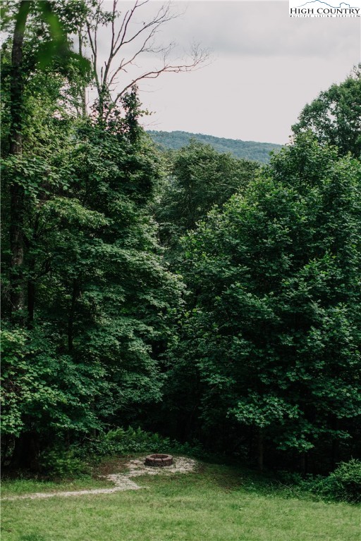 696 Alpine Acres Road Vilas, NC 28692 - Photo 35 of 38 Gallery Image 35