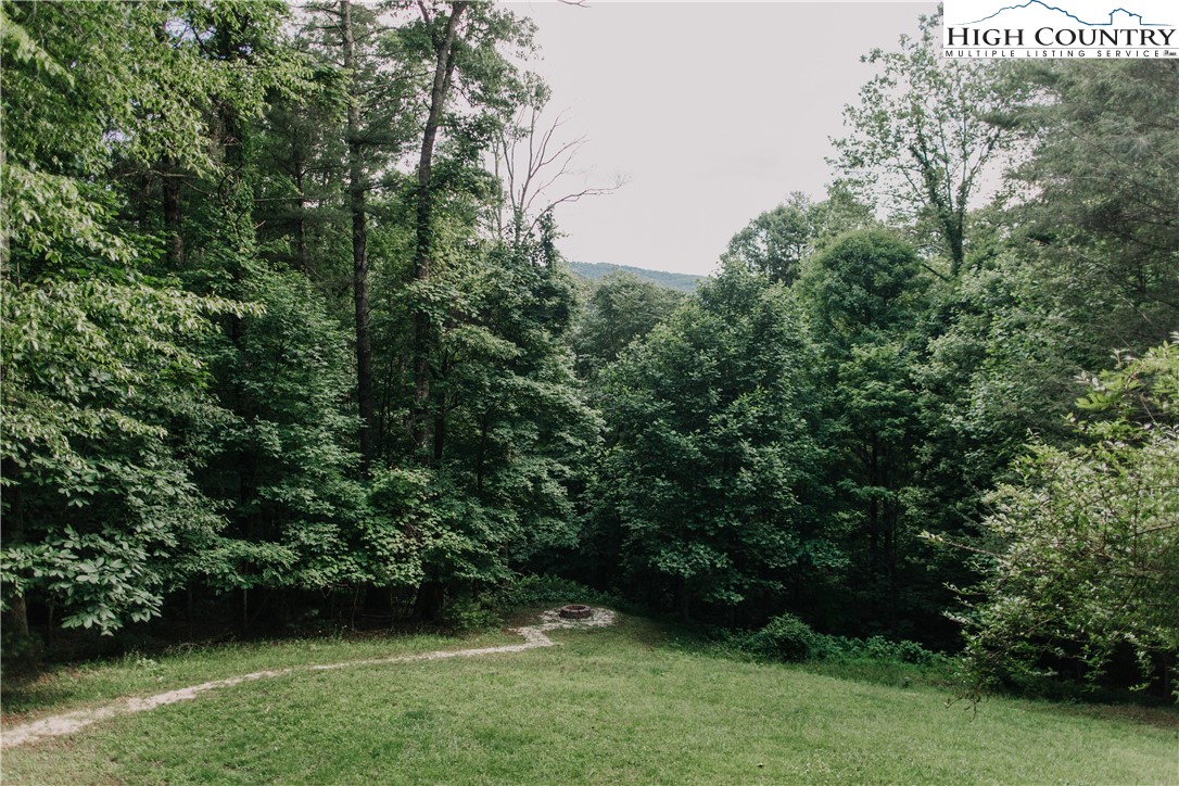 696 Alpine Acres Road Vilas, NC 28692 - Photo 38 of 38 Gallery Image 38