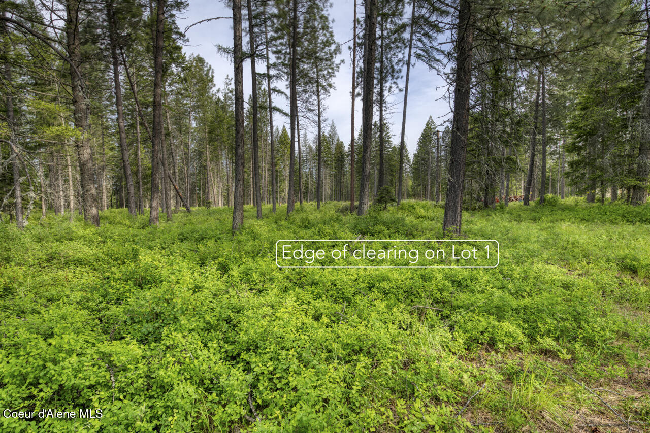 Nna Holmes Road Bonners Ferry, ID 83805 - Photo 5 of 7 .