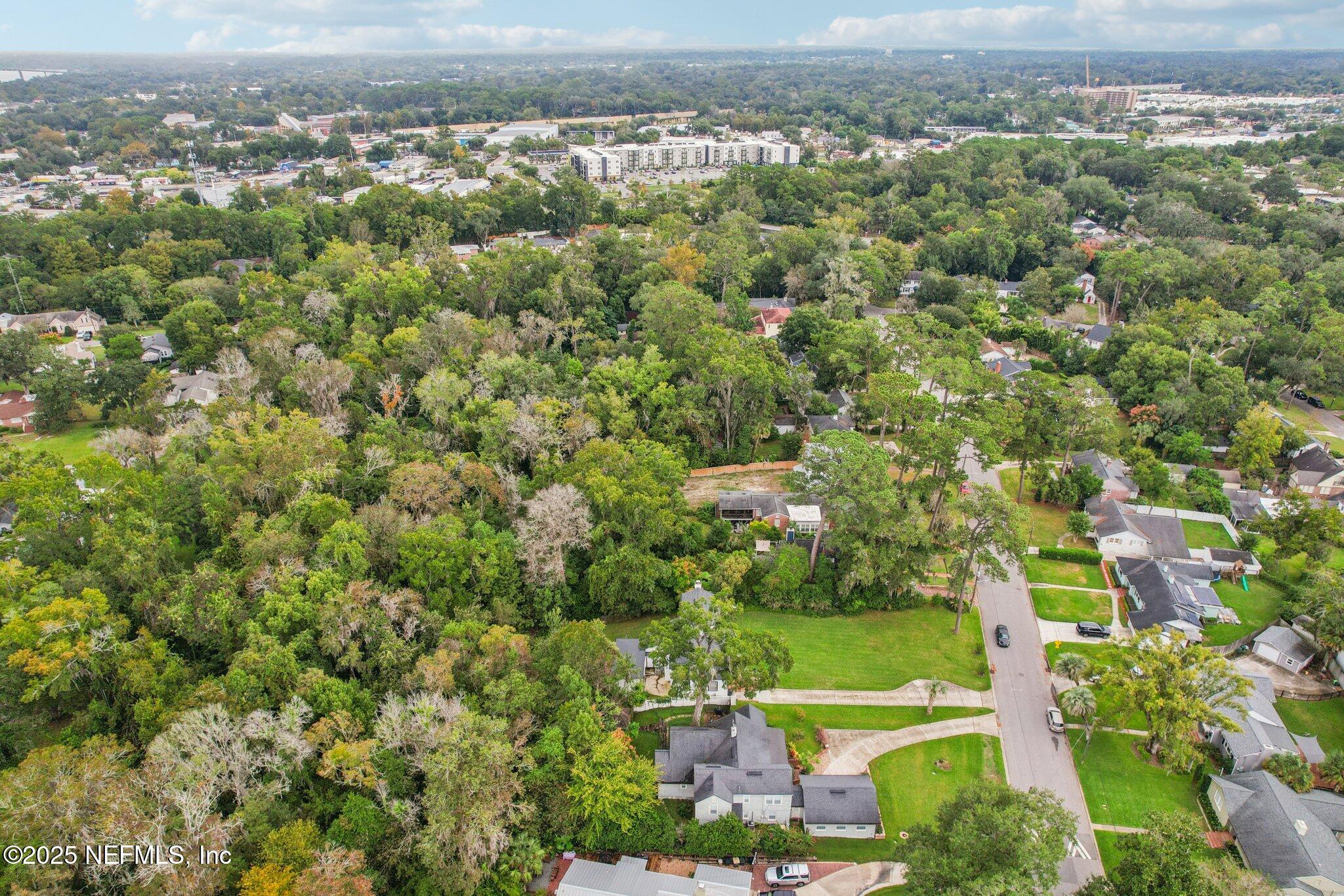 1605 Lorimier Road Jacksonville, FL 32207 - Photo 56 of 57 an aerial view of a houses with a yard