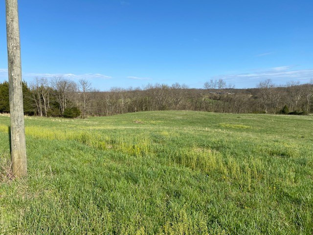 2364 Santa Fe Road Brooksville, KY 41004 - Photo 4 of 21 Gallery Image 4