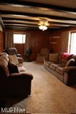 56824 Wegee Road Shadyside, OH 43947 - Photo 10 of 21 Living room featuring a healthy amount of sunlight and carpet flooring