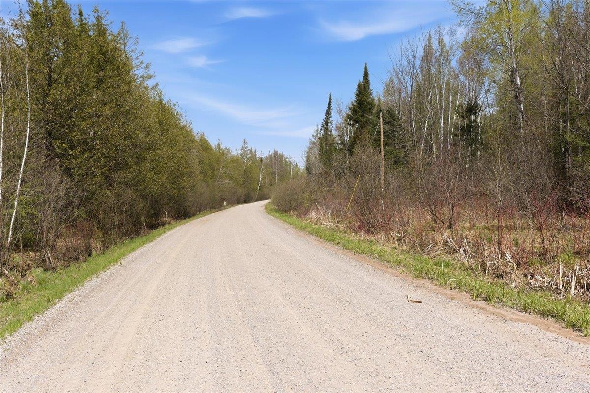 Pratt Junction Road Pelican Lake, WI 54463 - Photo 20 of 28