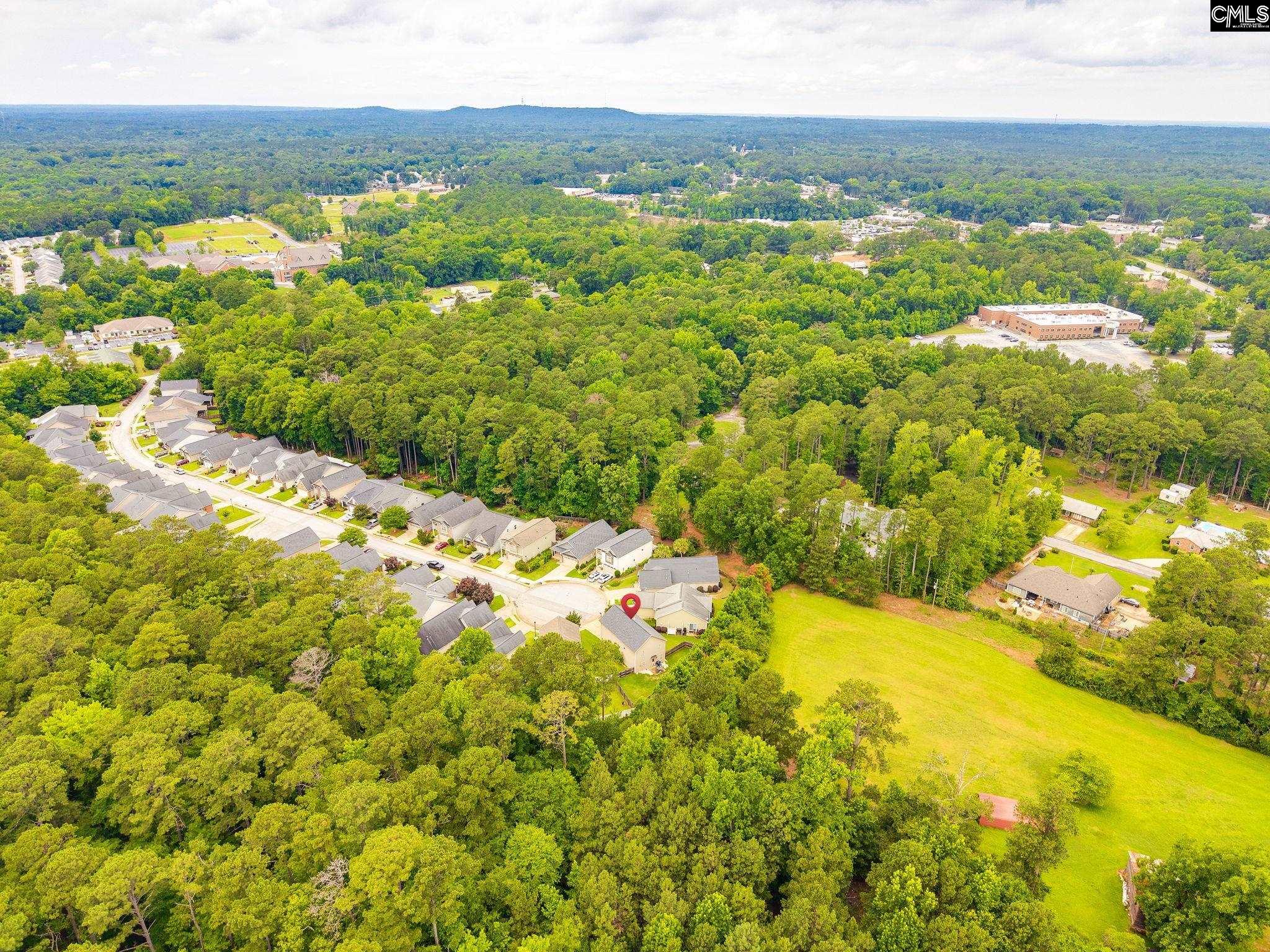 54 Revelstone Way Chapin, SC 29036 - Photo 40 of 40