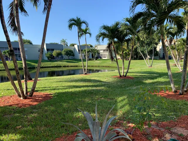a view of a park with a tree