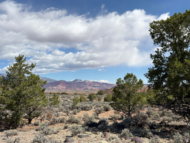 2196 East Teasdale Road Teasdale, UT 84773 - Photo 12 of 57