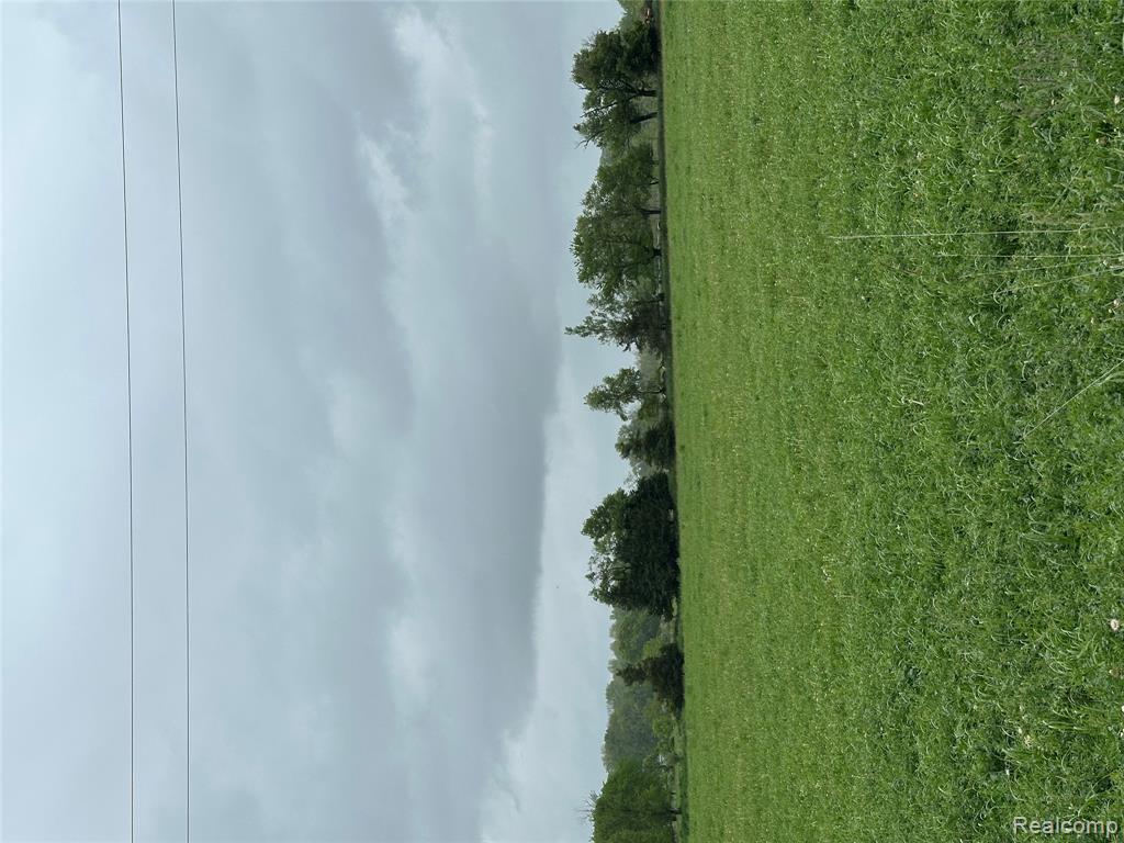 2 Cedar Lake Road Fowlerville, MI 48836 - Photo 2 of 2