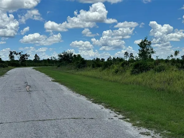 a view of a bunch of trees in the background