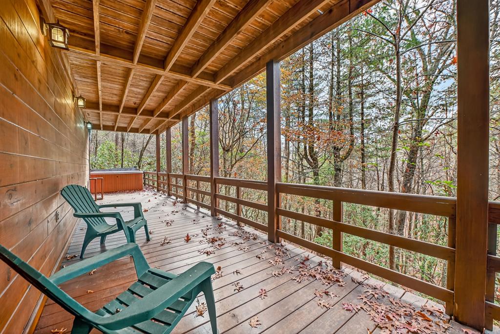 90 Dupont Drive Blue Ridge, GA 30513 - Photo 19 of 49 Lower deck