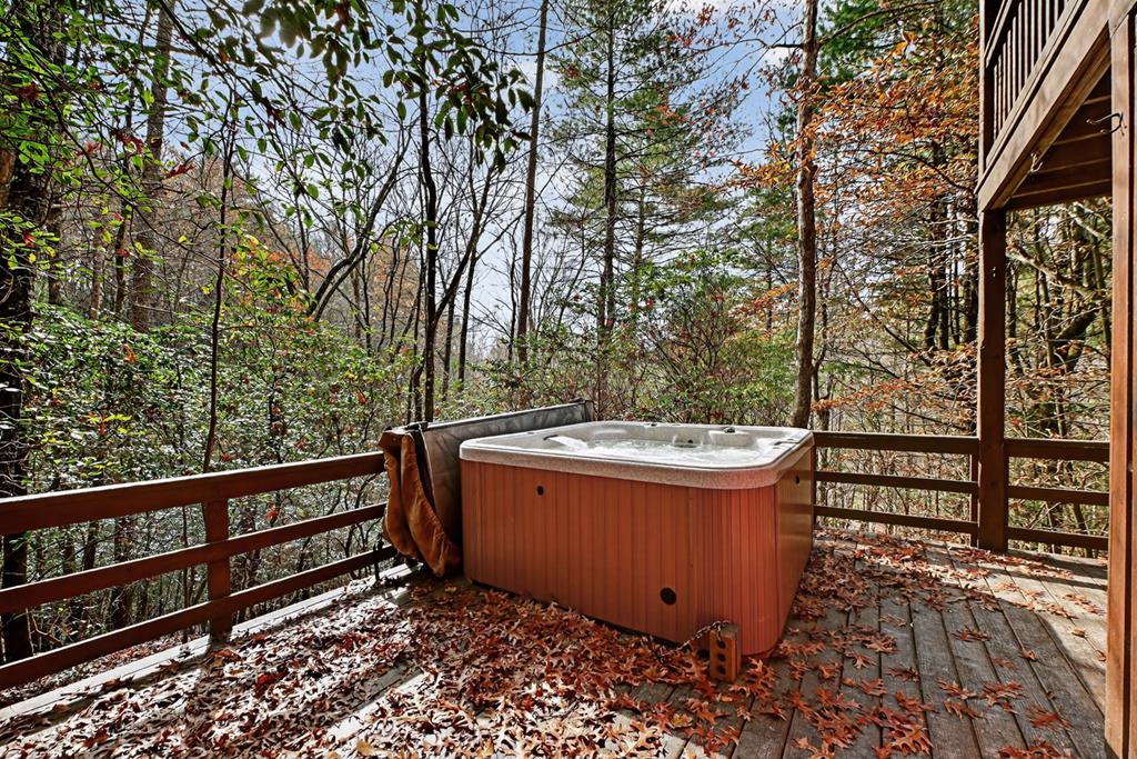 90 Dupont Drive Blue Ridge, GA 30513 - Photo 29 of 49