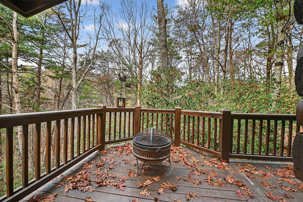 90 Dupont Drive Blue Ridge, GA 30513 - Photo 33 of 49