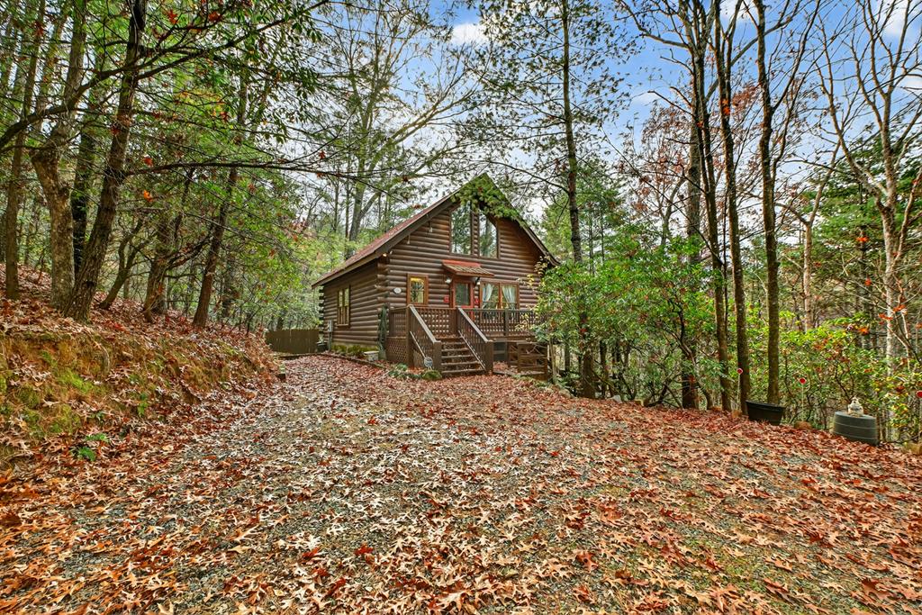 90 Dupont Drive Blue Ridge, GA 30513 - Photo 41 of 49