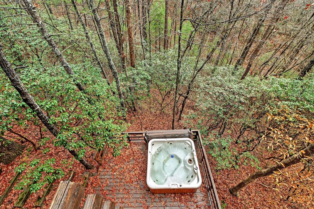 90 Dupont Drive Blue Ridge, GA 30513 - Photo 42 of 49