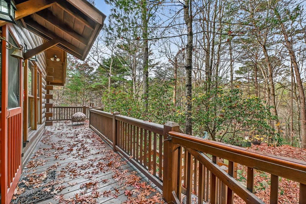 90 Dupont Drive Blue Ridge, GA 30513 - Photo 47 of 49