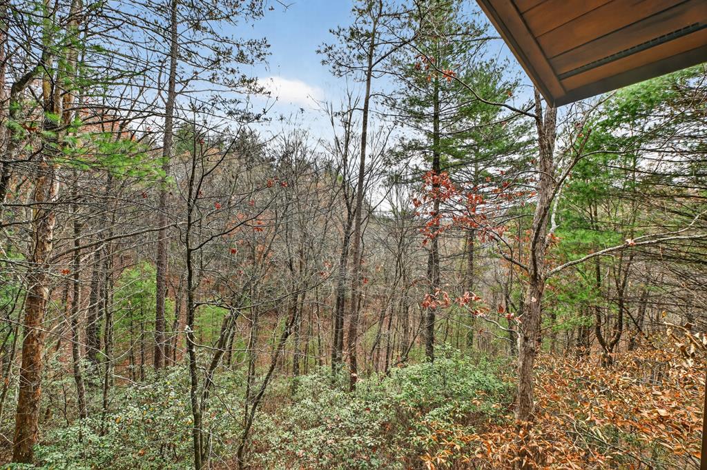 90 Dupont Drive Blue Ridge, GA 30513 - Photo 48 of 49