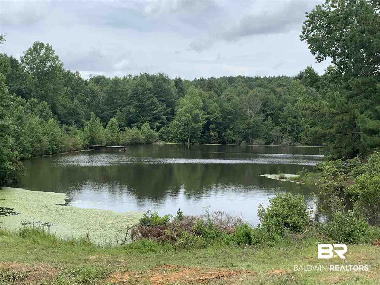 1178 Dry Lake Road Luverne, AL 36049 - Photo 6 of 50