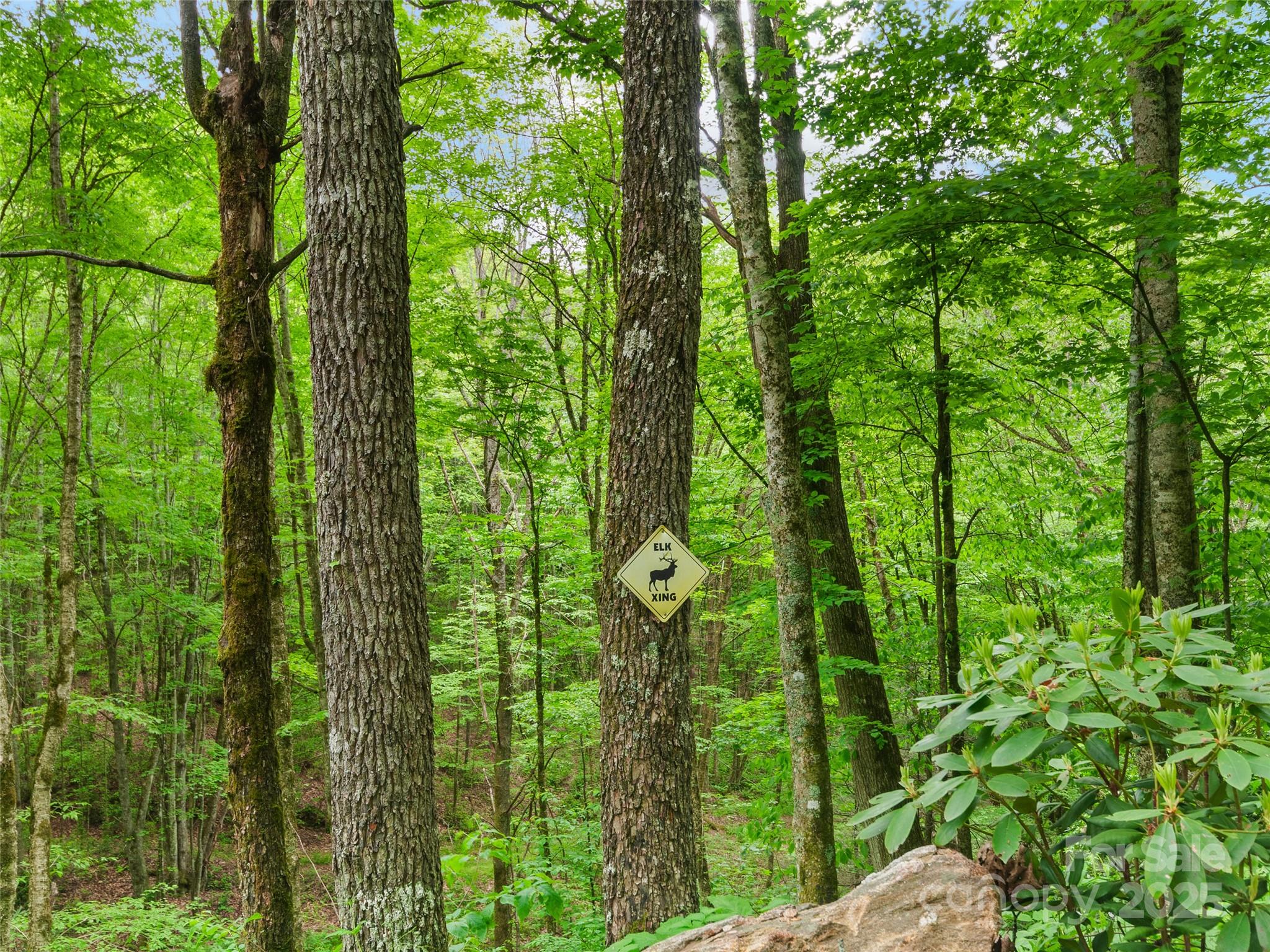 306 Mash Stomp Road Maggie Valley, NC 28751 - Photo 35 of 35 Gallery Image 35