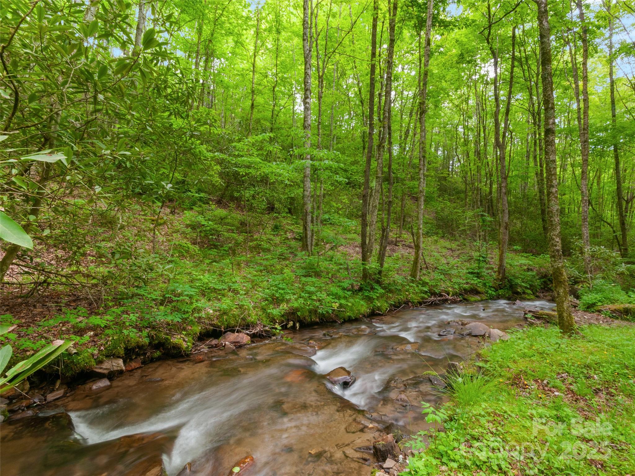 306 Mash Stomp Road Maggie Valley, NC 28751 - Photo 5 of 35 Gallery Image 5