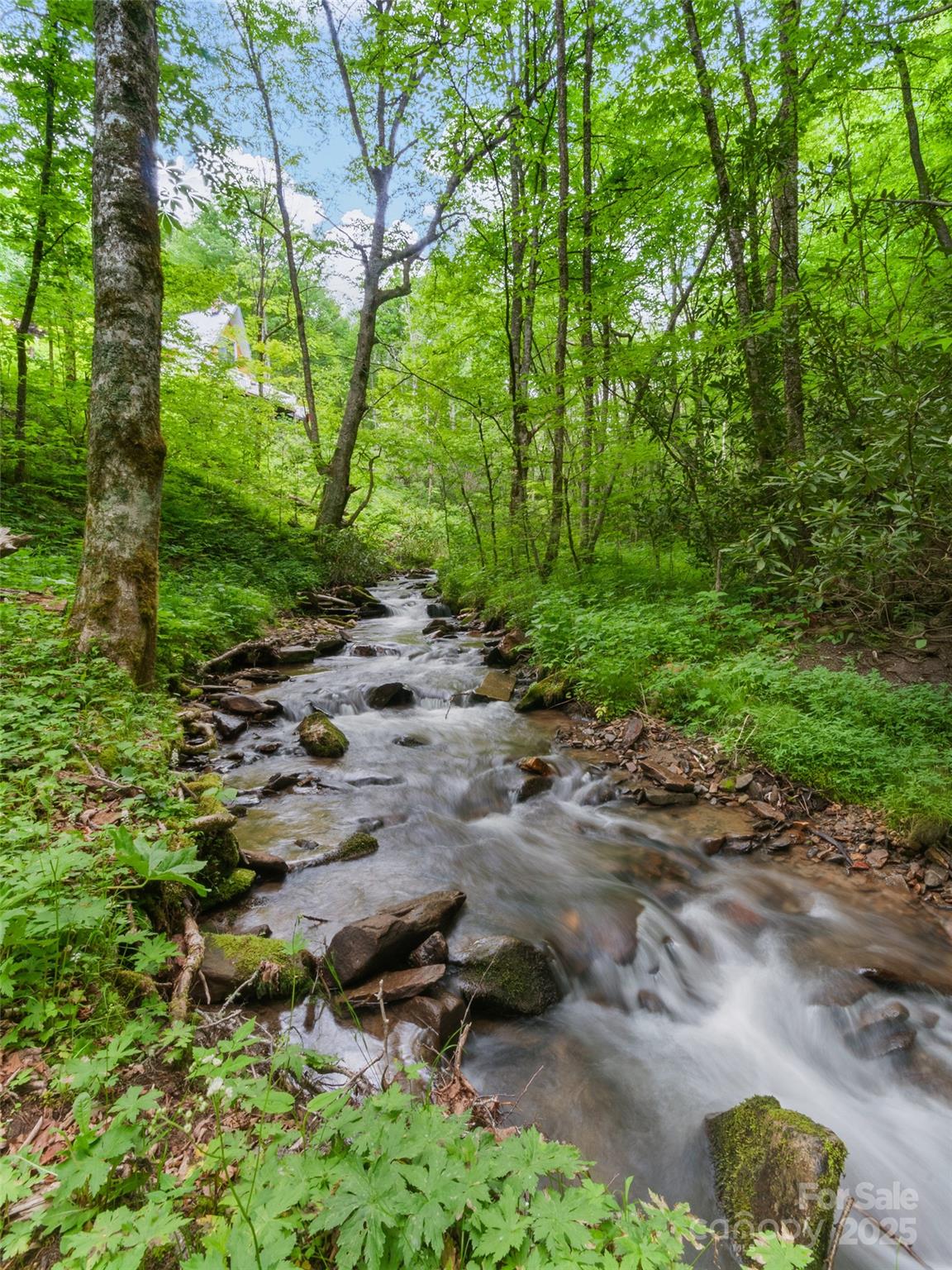 306 Mash Stomp Road Maggie Valley, NC 28751 - Photo 6 of 35 Gallery Image 6