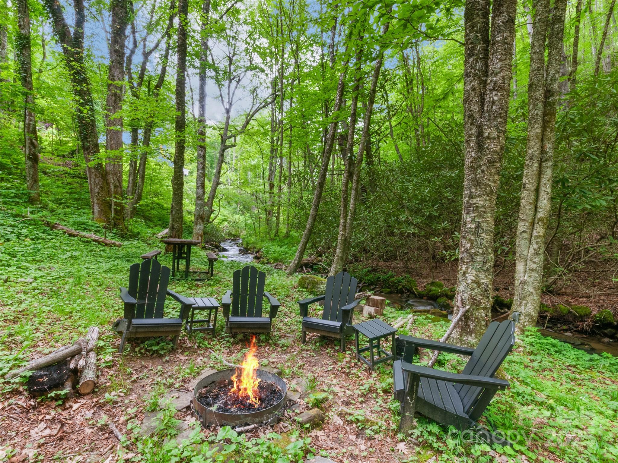 306 Mash Stomp Road Maggie Valley, NC 28751 - Photo 7 of 35 Gallery Image 7