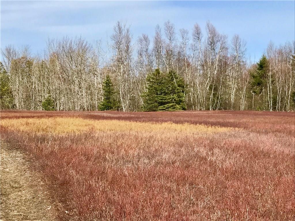 306 Youngs Cove Road Pembroke, ME 04666 - Photo 5 of 19 Photo
