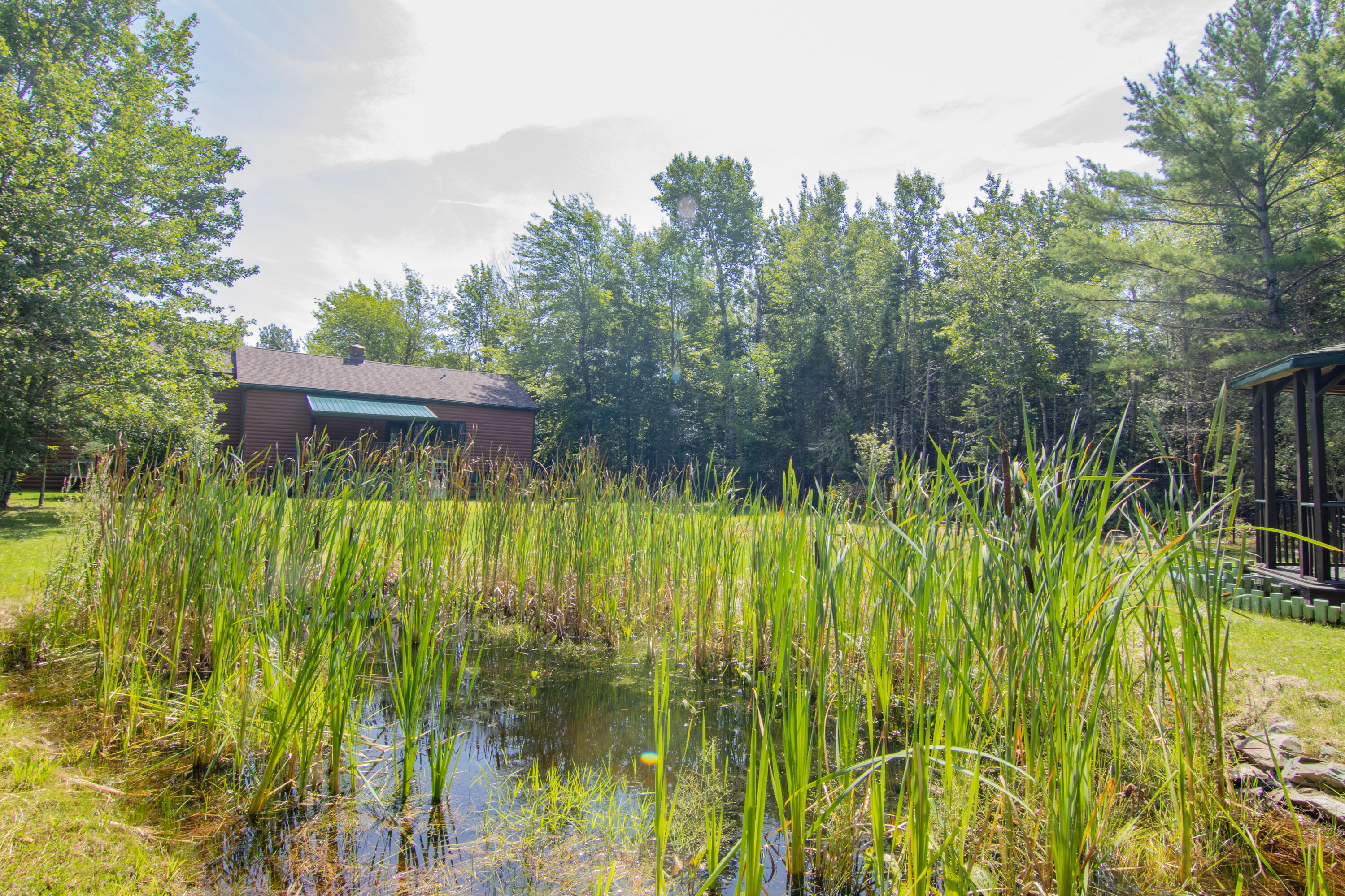 74 Pinetree Road Brewer, ME 04412 - Photo 95 of 108 74 Pine Tree Rd_Exterior-14