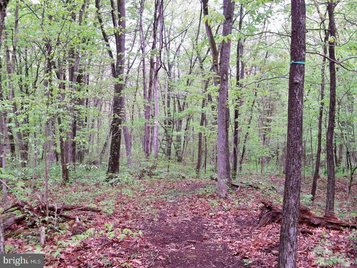 Lot 33 Nestle Quarry Road Falling Waters, WV 25419 - Photo 13 of 27 Gallery Image 13
