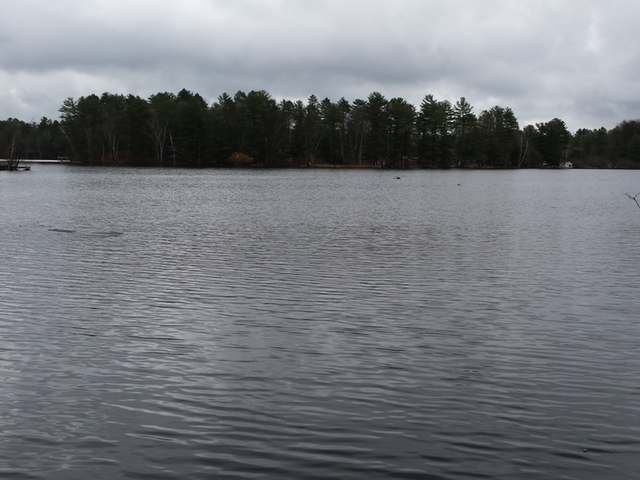 3938 Highway 47 Rhinelander, WI 54501 - Photo 7 of 14 Gallery Image 7