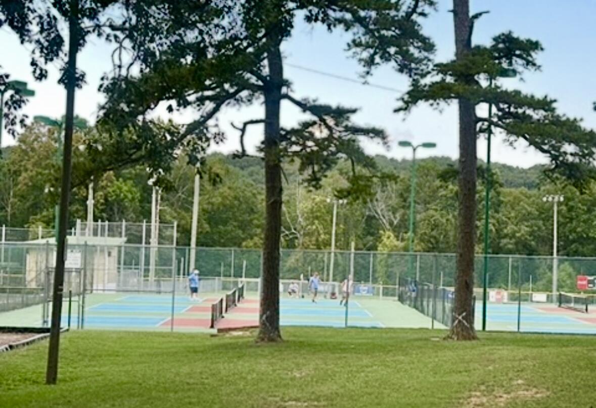 422 Timberlinks Drive Signal Mountain, TN 37377 - Photo 17 of 19 IMG_4044