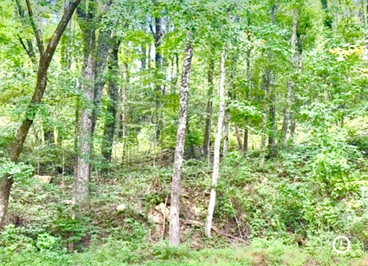 422 Timberlinks Drive Signal Mountain, TN 37377 - Photo 4 of 19 IMG_4056