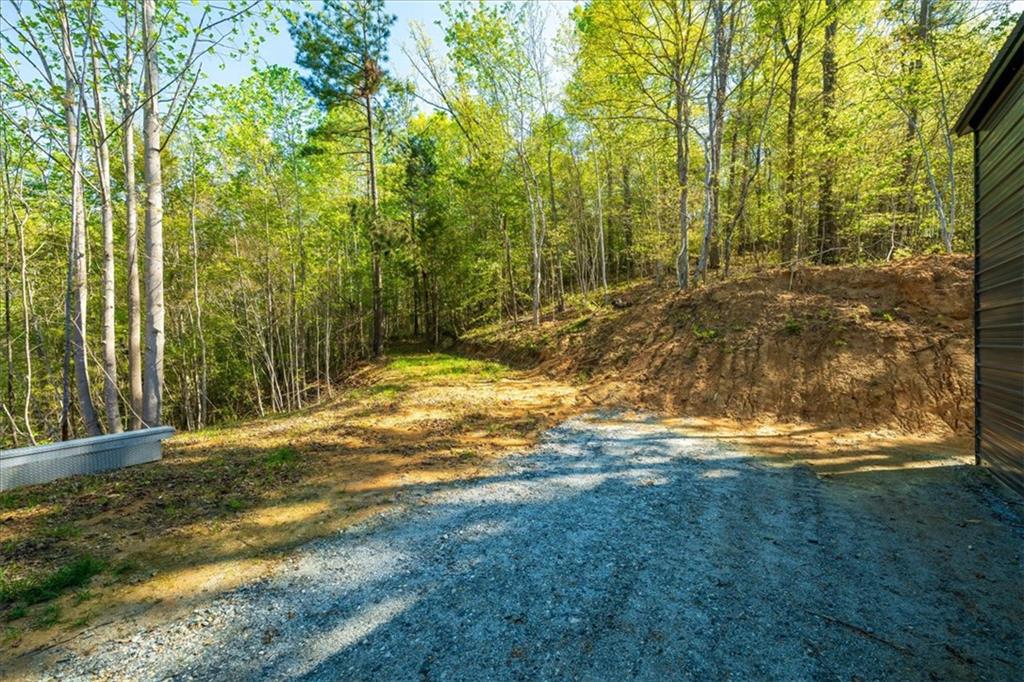 280 Dan Ross Road Six Mile, SC 29682 - Photo 17 of 18 A winding gravel path leads into a dense, verdant forest, perfect for nature lovers.